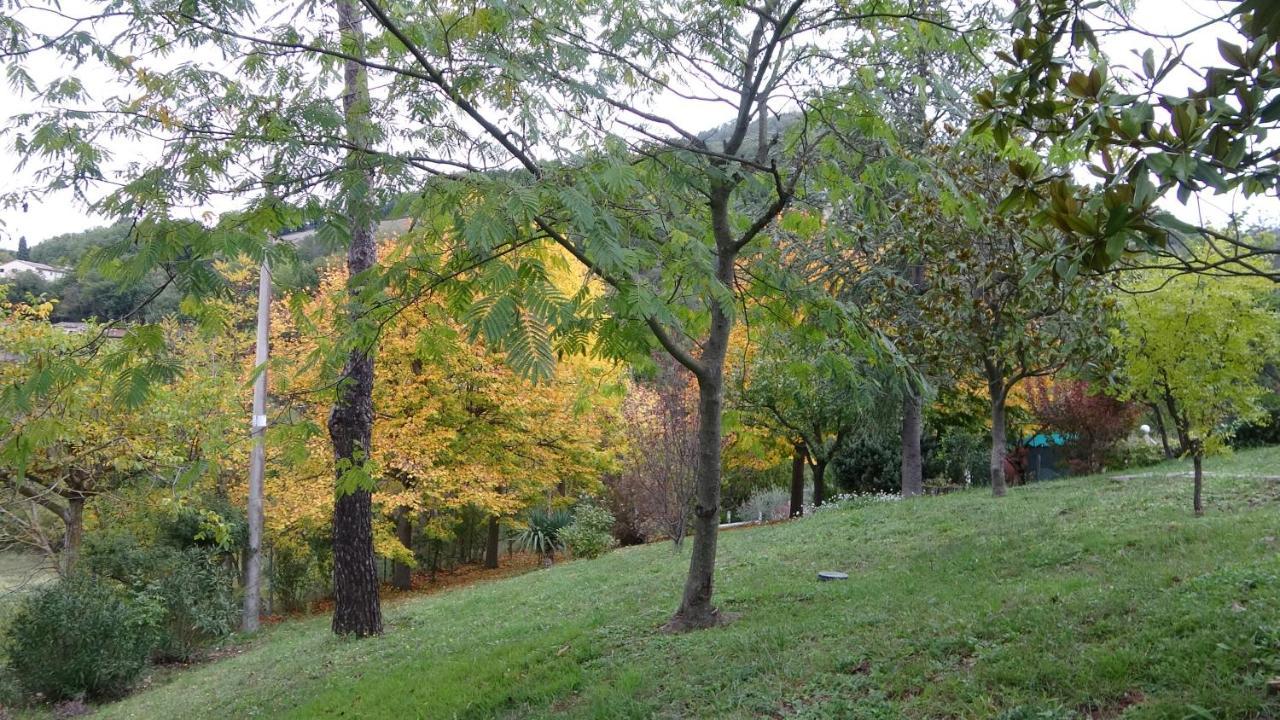 B&B La Poiana Canavaccio di Urbino المظهر الخارجي الصورة